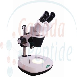 Dual Magnification Stereo Microscope, Binocular, 1X/3X