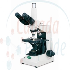 Compound Microscope, Trinocular