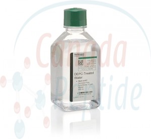  Nuclease-Free Water (DEPC-Treated) 500ML